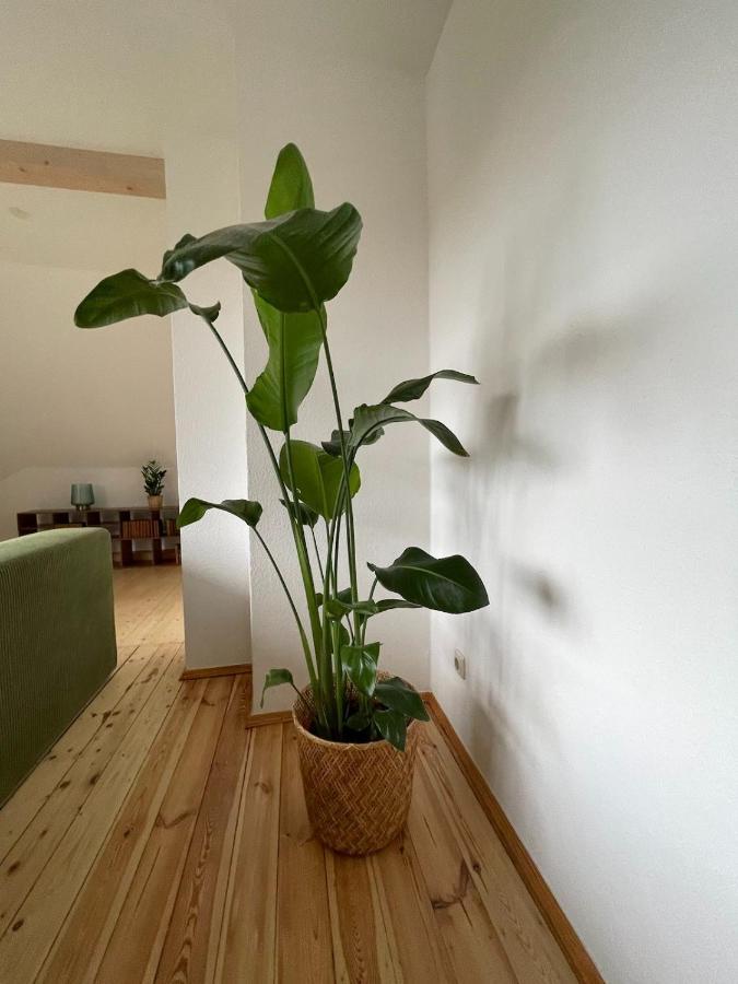 Apartmán Kulturgenuss Am Goethewanderweg Výmar Exteriér fotografie